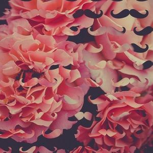 Meet your Posher, Jaleyah